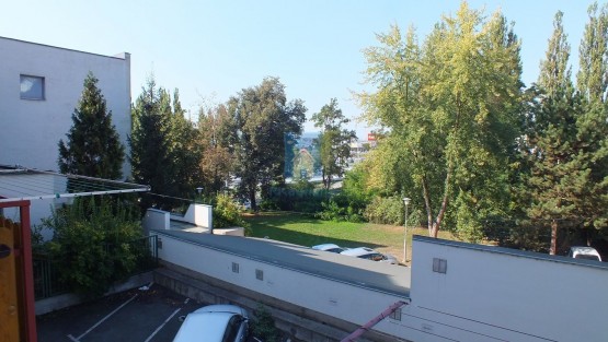 dscf0246.jpg