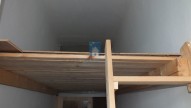 dscf0812.jpg