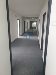 20230726-113010.jpg
