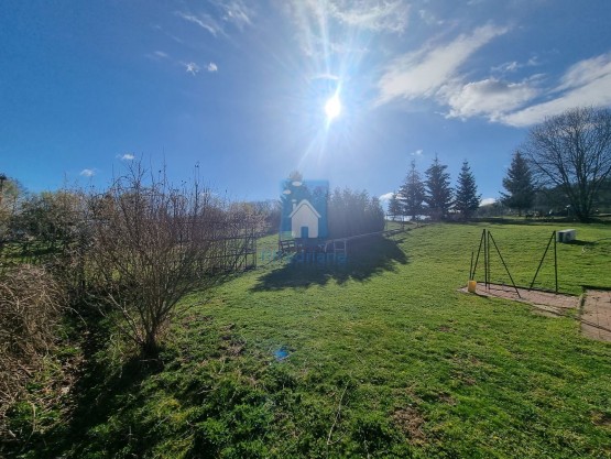 20240404-093735.jpg