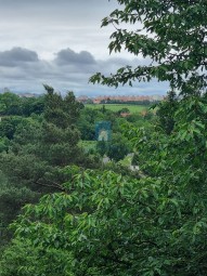 prodej-zahrady-s-chatou-zdiby-praha-vychod-527-m2-11.jpg