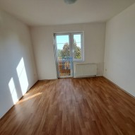 20241021-112231.jpg