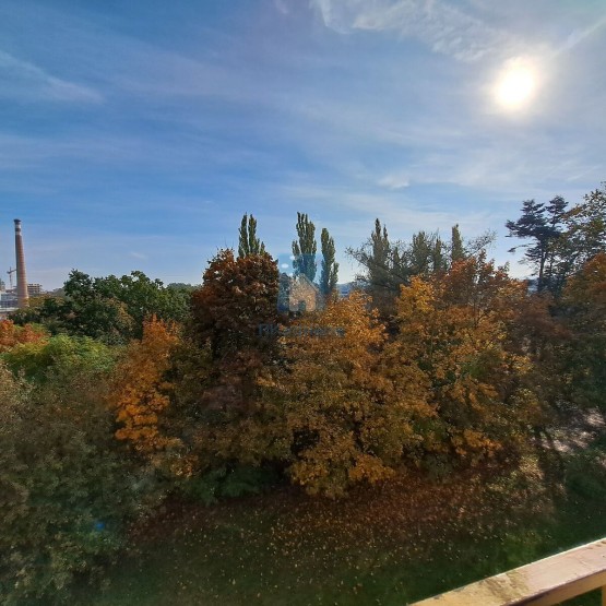 20241021-112201.jpg