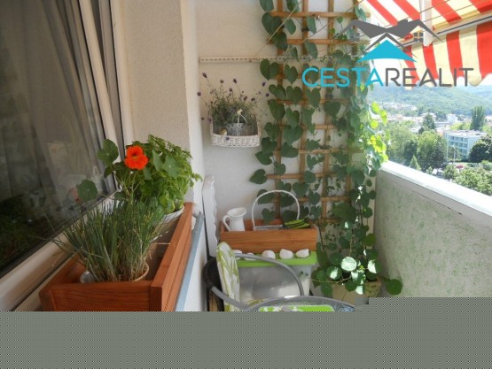 EFAE11AE-866E-4929-8BB4-DE92EB7DB31B