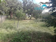 20180625_152155