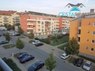 41675842_253753828815357_2656907223602561024_n