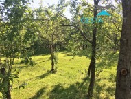 IMG-9073