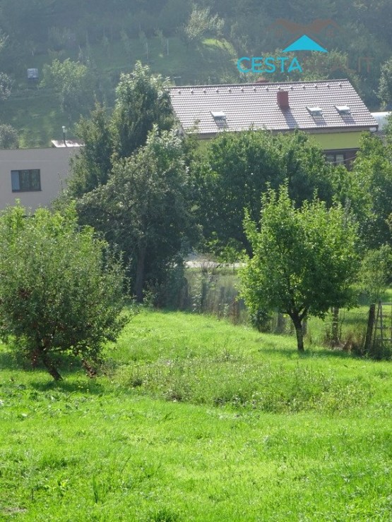DSC03685