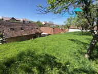 IMG_6401