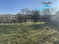 prodej-stavebniho-pozemku-4500-m2-suchov-img-6166-f2fb15