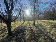 prodej-stavebniho-pozemku-4500-m2-suchov-img-6164-f42322