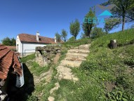 IMG_6417
