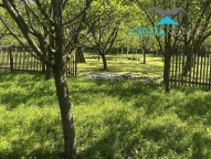 img-6402-1dbb6f