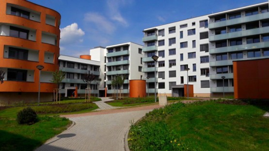 20170523-145732.jpg