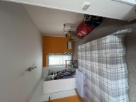 IMG_3237.jpeg