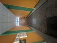 IMG_3225.jpeg