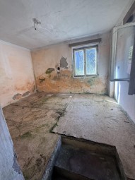 IMG_1378.jpeg
