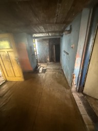 IMG_1380.jpeg