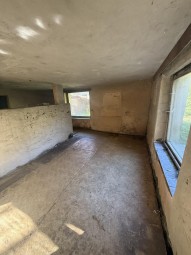 IMG_1383.jpeg