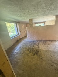 IMG_1381.jpeg