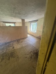 IMG_1382.jpeg