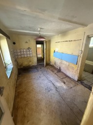 IMG_1375.jpeg