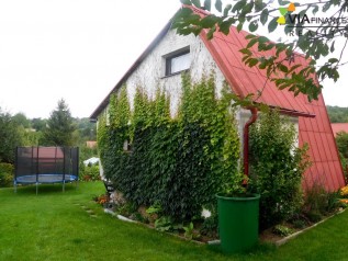 DSCN1873