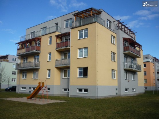 P1030804