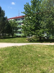 196732254_524684478899993_723064965728975881_n