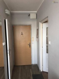 195950691_1123944231349757_5200531453593639692_n