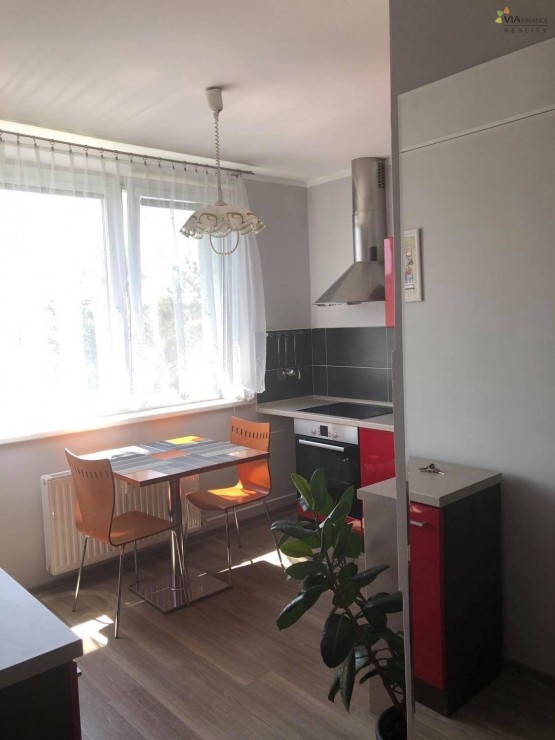 196054448_518933182484709_138164684604995709_n