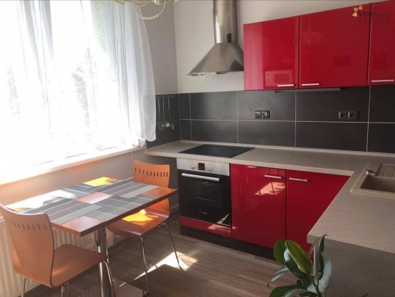 197024856_518142469232602_7187798071566467573_n