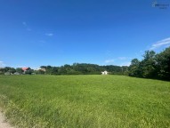 IMG_0515