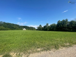 IMG_0513