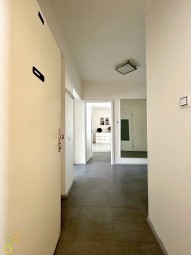 IMG_4607