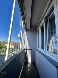 IMG_4608