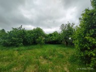 IMG_20250520_095532