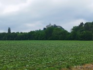 IMG_20250520_102457