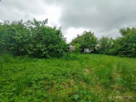IMG_20250520_095559