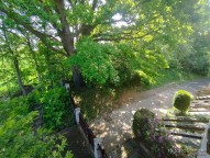IMG_20250515_102436