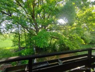 IMG_20250515_102338