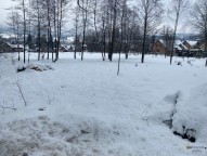 IMG_5696