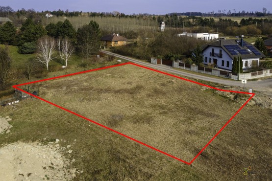 d2