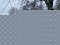 6556940c81a00ba1bb68e121e3696daf83486