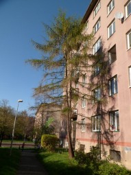 SAM_0179