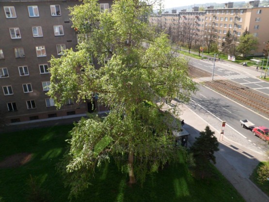 SAM_0163