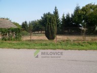 SAM_0683