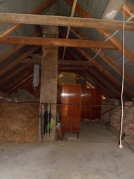 SAM_0649