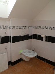 SAM_0646