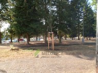 SAM_0698